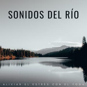 Sonidos Del Río: Aliviar El Estrés Con El Yoga - Banco de sonidos de agua