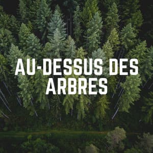 Au-Dessus Des Arbres - Sons de la nature