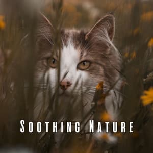 Soothing Nature: Chill Sounds for Relaxed Cats - Nature 101