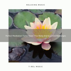 Perfect Meditation Tunes Heals Your Body And Soul And Recharges - Sanctuary Of Relax