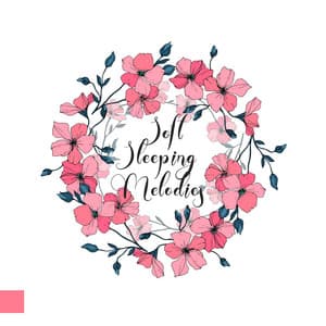 Soft Sleeping Melodies - Soft Sleeping Melodies