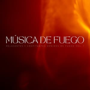 Música De Fuego: Relajantes Y Crepitantes Sonidos De Fuego Vol. 1 - Bosque Negro