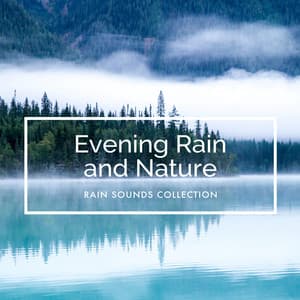 Evening Rain and Nature - Rain Sounds Collection