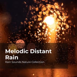 Melodic Distant Rain - Rain Sounds Nature Collection