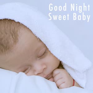 Good Night Sweet Baby - Echoes Of Nature