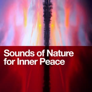 Sounds of Nature for Inner Peace - Sounds of Nature for Deep Sleep and Relaxation