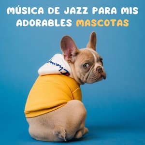 Música De Jazz Para Mis Adorables Mascotas - Chill Lounge Vibraciones