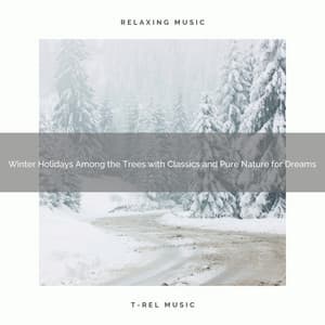 Winter Holidays Among the Trees with Classics and Pure Nature for Dreams - The Outdoor Library