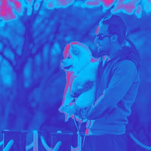 Funky Ambiance for Slowing Walking Doggo - Calm Dog Music