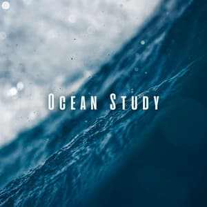 Ocean Study: Mindful Chill Sounds for Comprehension - In The Ocean (Sound FX)