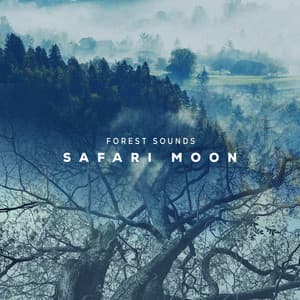Safari Moon - Forest Sounds