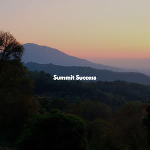 Summit Success - In Store Music