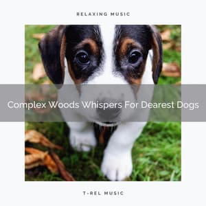 Complex Woods Whispers For Dearest Dogs - Dog Relax