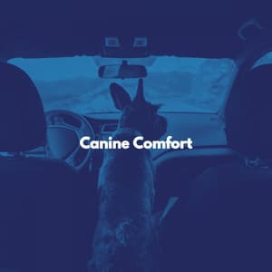 Canine Comfort - Relaxing Dogs