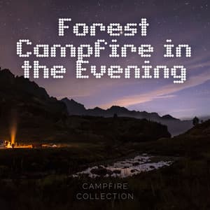 Forest Campfire in the Evening - Campfire Collection