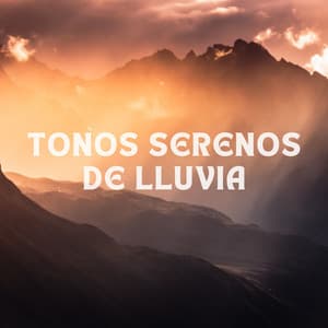 Tonos Serenos De Lluvia - La biblioteca de la lluvia