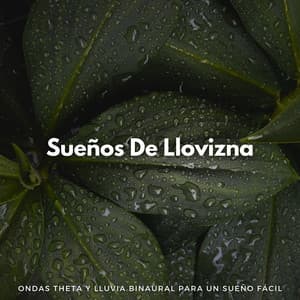 Sueños De Llovizna: Ondas Theta Y Lluvia Binaural Para Un Sueño Fácil - Música para dormir profundo Delta Binaural 432 Hz
