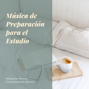 Música de Preparación para el Estudio - Relajación Mental, Concentracción Máxima - Aprender a Estudiar