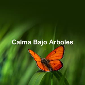 Calma Bajo Arboles - Sonidos de la Naturaleza