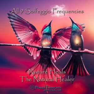 All 9 Solfeggio Frequencies: Nature Heals the Natural Healer - PowerThoughts Meditation Club