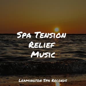 Spa Tension Relief Music - Rain Sounds Collection