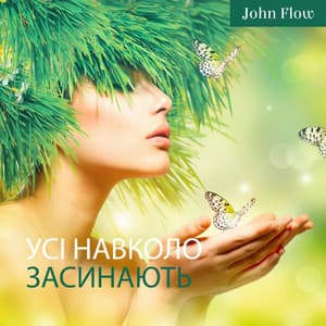 Усі навколо засинають - John Flow