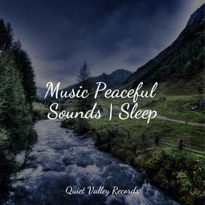Music Peaceful Sounds | Sleep - Thunder Storm