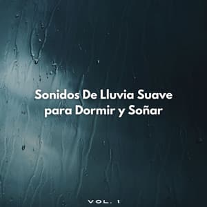 Sonidos De Lluvia Suave para Dormir y Soñar Vol. 1 - Lluvia Relajante para Dormir