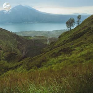 Piano Enchantment Amidst Rainforest - Zambezi Sounds