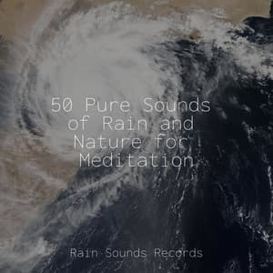 50 Pure Sounds of Rain and Nature for Meditation - Lightning, Thunder and Rain Storm