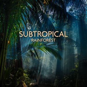 Subtropical Rainforest - Kings of Nature