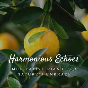 Harmonious Echoes: Meditative Piano for Nature's Embrace - Nature Therapy