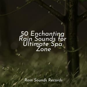 50 Enchanting Rain Sounds for Ultimate Spa Zone - Japanese Relaxation and Meditation