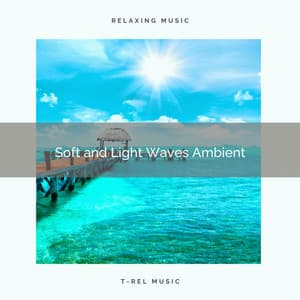 2021 New: Soft and Light Waves Ambient - The Noise Project