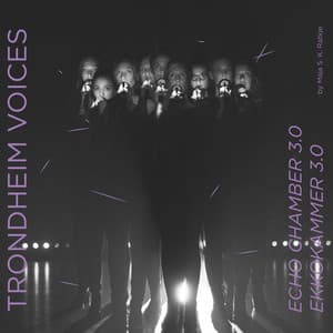 Echo Chamber 3.0/Ekkokammer 3.0 - Trondheim Voices