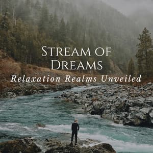 Stream of Dreams: Relaxation Realms Unveiled - Cure Stream