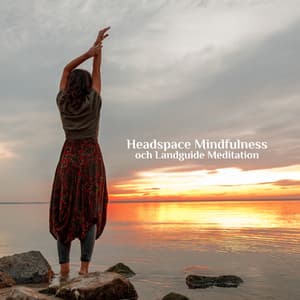Headspace Mindfulness och Landguide Meditation - Djup Avslappningsövningar Akademi