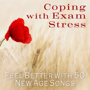 Coping with Exam Stress: Feel Better with 50 New Age Songs, Deep Relaxation Instrumental Music, Positive Energy, Mindfulness Training - Stress Relieving Music Consort