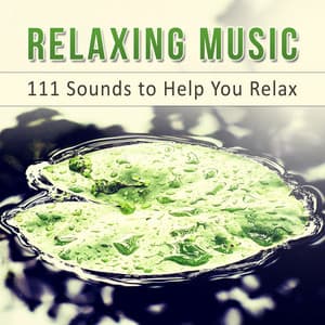 Relaxing Music: 111 Sounds to Help You Relax, Meditation Music for Yoga, Reiki & Massage, Zen Spa, Sleep & Stress Relief - Body Soul Music Zone