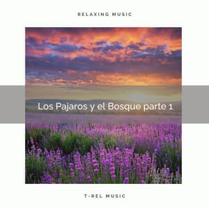 2021 Nuevo: Los Pajaros y el Bosque - Sonidos De Pajaros