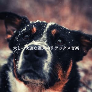 犬との快適な週末のリラックス音楽 - Cafe Jazz
