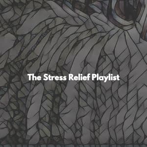 The Stress Relief Playlist - Coffee Shop Music Deluxe