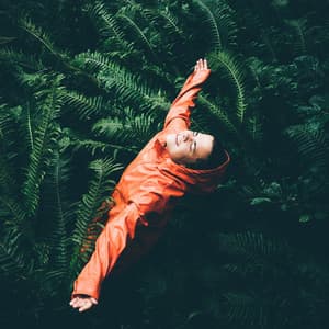 Midnight Nature's Relaxation: Chill Rain and Cricket Melodies - Rain Sound Experience