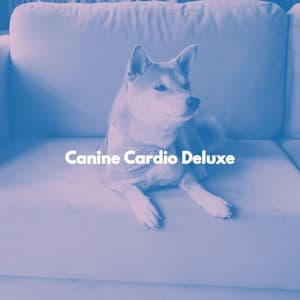 Canine Cardio Deluxe - Hotel Jazz Music
