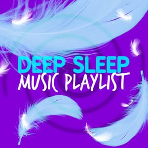 Deep Sleep Music Playlist - Deep Sleep Music Club