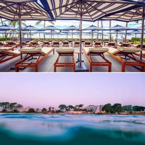 Mind-blowing Background for Seasonal Horizons - Relaxing Music Playlist