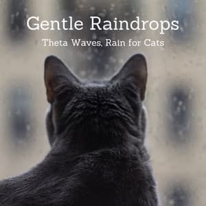 Gentle Raindrops Theta Waves, Rain for Cats - The Rain Sounds Nature Experts