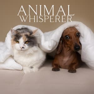 Animal Whisperer: Sound Therapy for Pets, Anxiety Alleviation for Dogs and Cats, Calm Companions - Pet Relax Academy