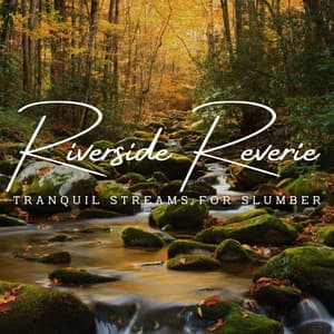 Riverside Reverie: Tranquil Streams for Slumber - Pacific Ocean Wave Sounds