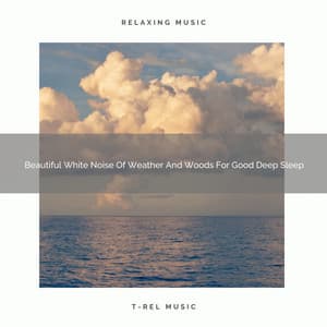 Beautiful White Noise Of Weather And Woods For Good Deep Sleep - Dreamy White Noise